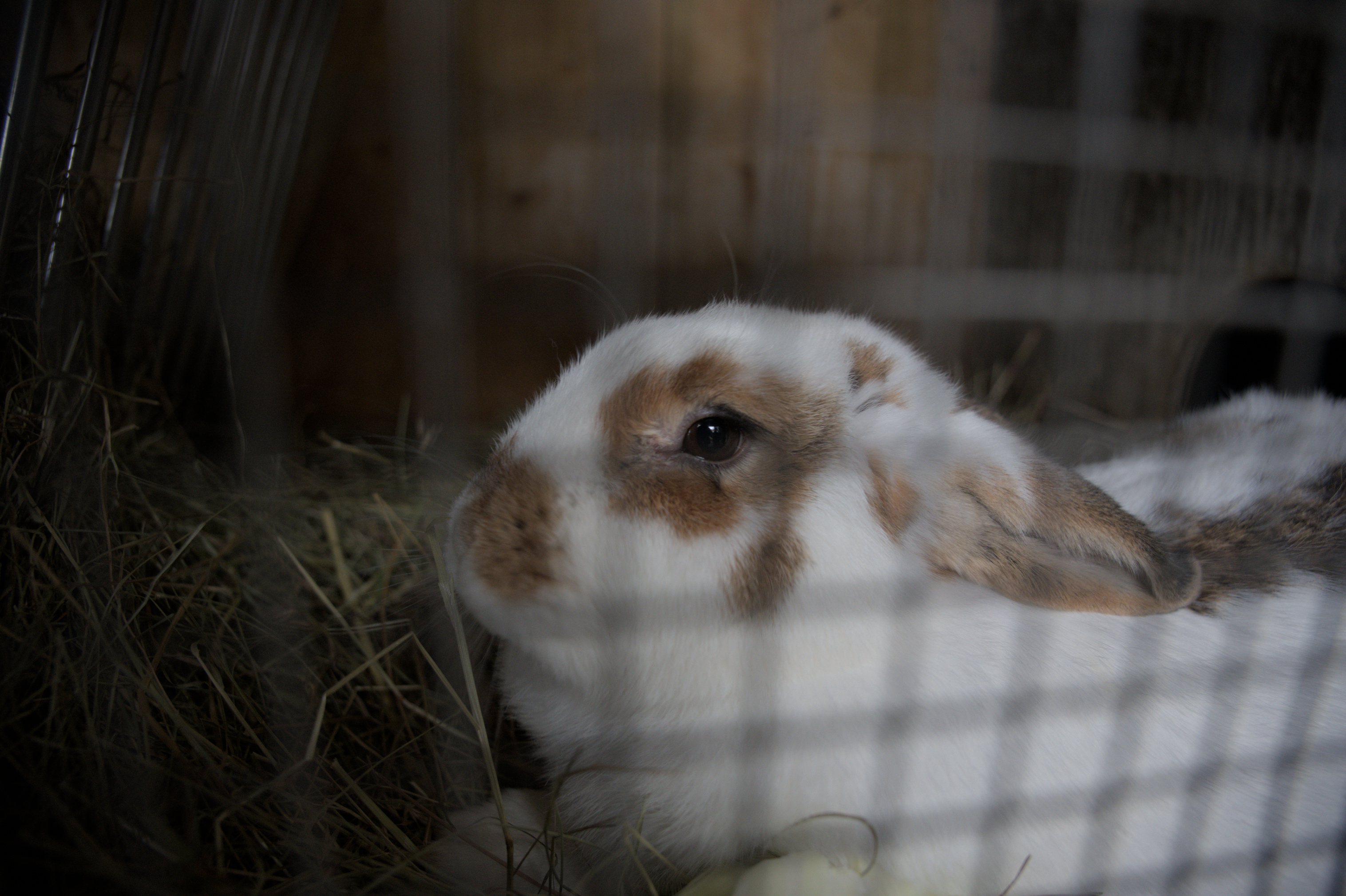 2025/10/12 - zoo/DSC_0363.jpg